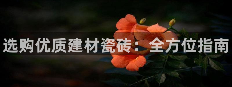 杏鑫平台平台娱乐怎么样