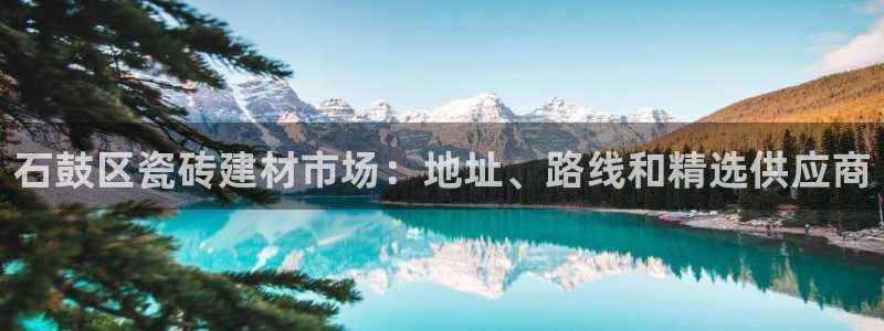 杏鑫平台代理怎么做的