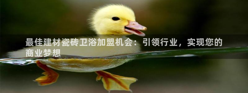 杏鑫官网注册账号是什么样的