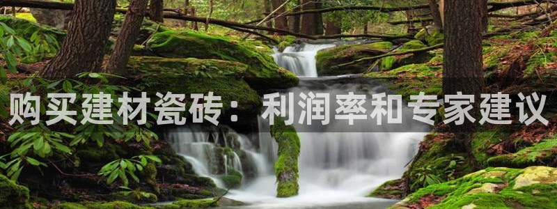 杏鑫平台注册网址是什么