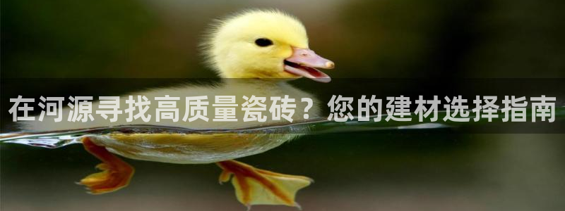 杏鑫平台登录地址查询