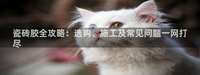 杏鑫平台官方网站