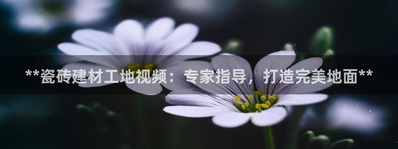 杏鑫平台招商怎么样啊