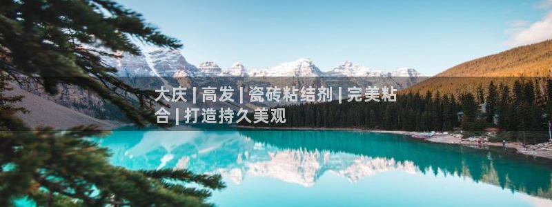 杏鑫平台野马联盟怎么样