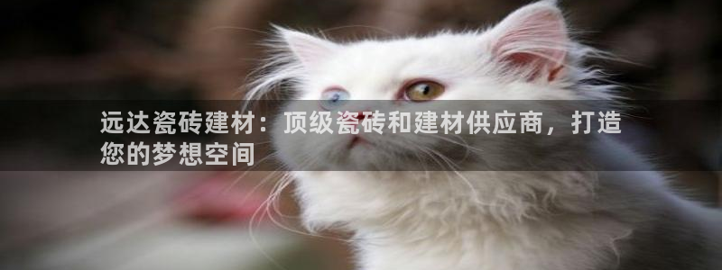 杏鑫平台代理怎么做的