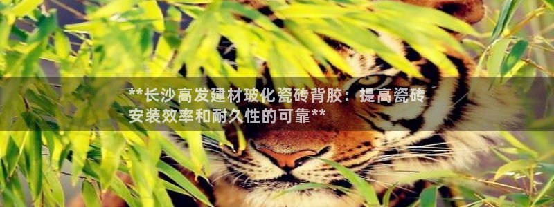 杏鑫平台代理注册流程图