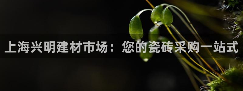 杏鑫平台是黑平台吗是真的吗