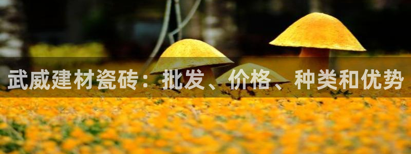 杏鑫官方平台怎么样啊