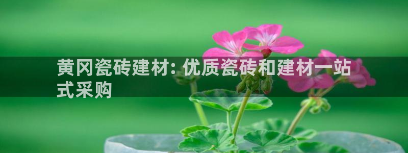 杏鑫平台怎么样黑钱吗安全吗