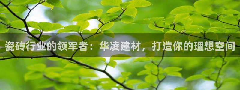 杏鑫娱乐-官方网站