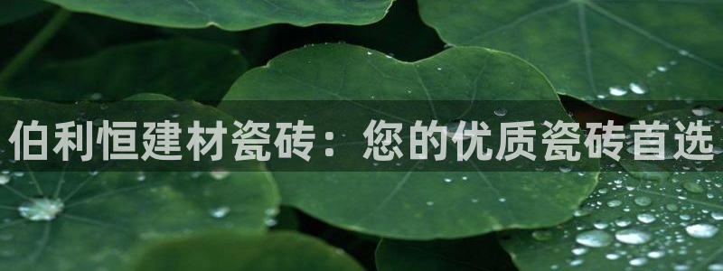 杏鑫官方app代理