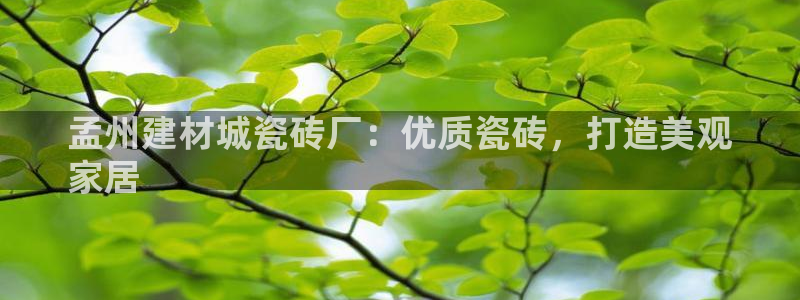 杏鑫娱乐平台登录注册网站