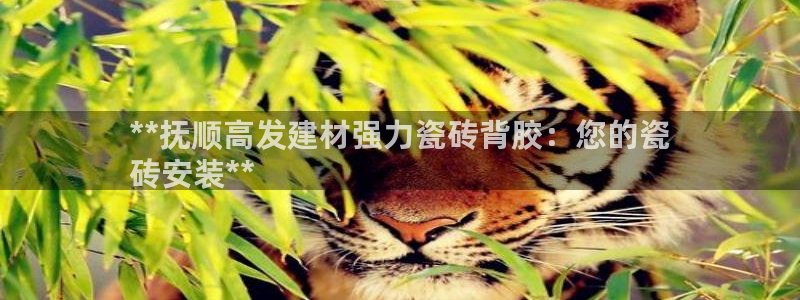 杏鑫平台待遇
