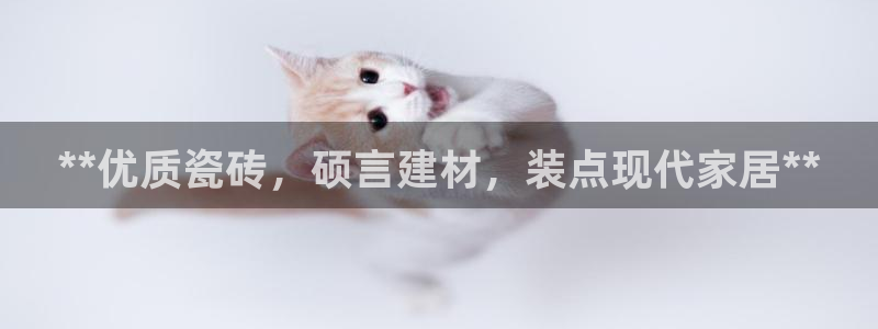杏鑫有亏损返点吗
