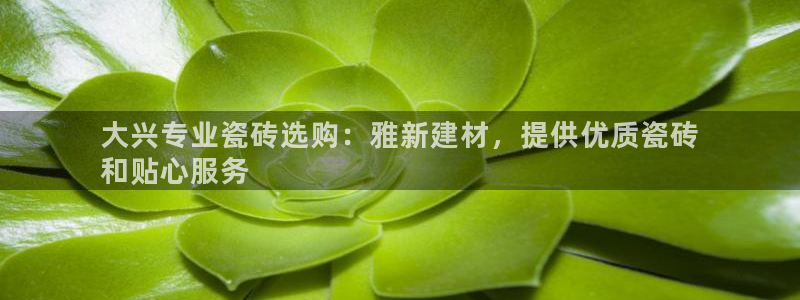杏鑫平台代理怎么样