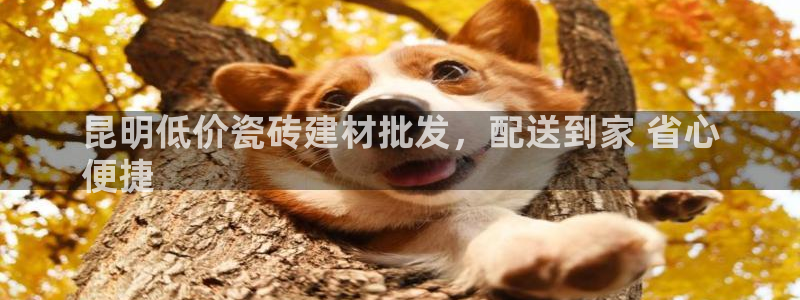 杏鑫娱乐多少年了