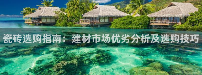 杏鑫平台注册网址查询