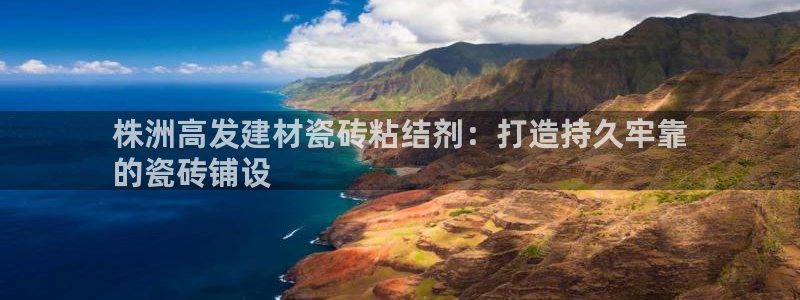 杏鑫官方平台怎么样