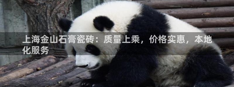 杏鑫平台登录地址在哪