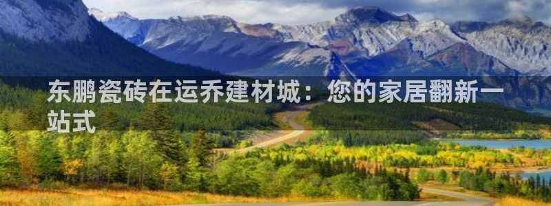 杏鑫平台代理注册流程及费用