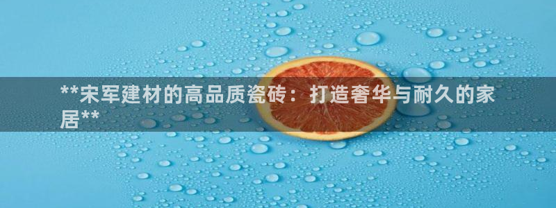 杏鑫平台代理注册流程及费用