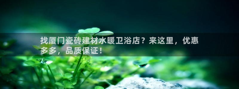 杏鑫平台登录注册