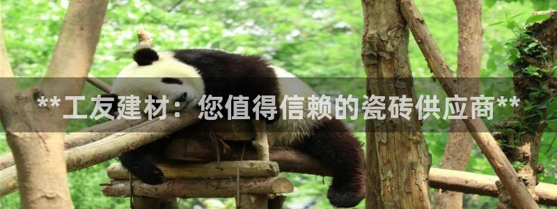 杏鑫平台在线注册流程