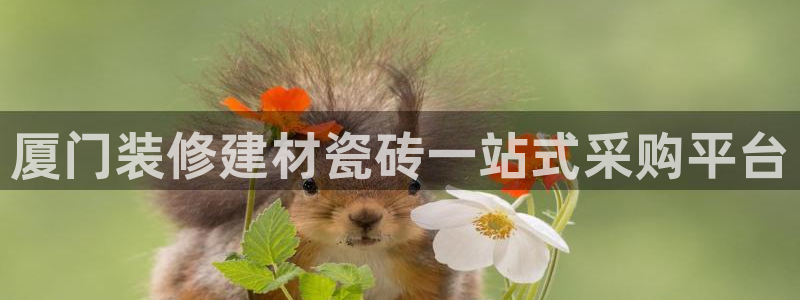 杏鑫手机客户端