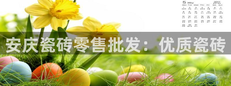 杏鑫平台代理注册流程