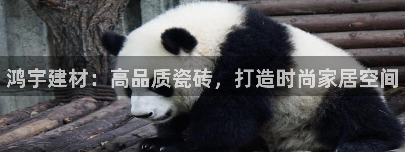 杏鑫注册登录网址是多少