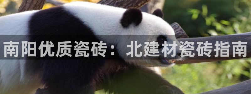 杏鑫注册登录网