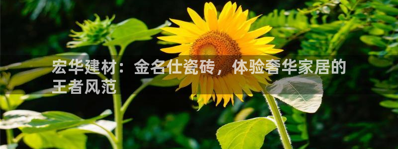 杏鑫注册登录平台是什么