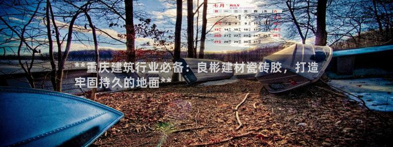 杏鑫平台测速