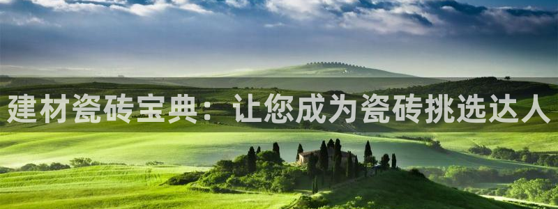 杏鑫平台直属哪个公司