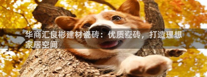 杏鑫娱乐是真的吗还是假的