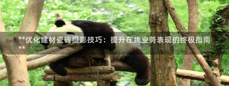 杏鑫注册登录网址是多少