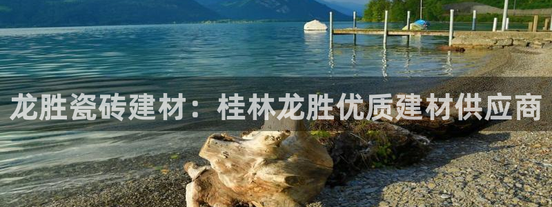 杏鑫平台下载安装
