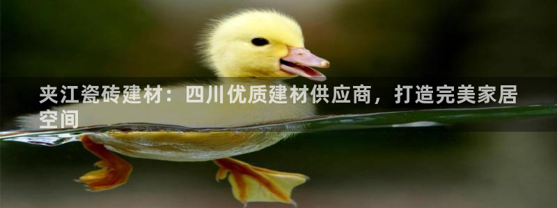 杏鑫平台招商电话