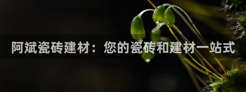 杏鑫平台代理注册登录不了怎么办呀苹果