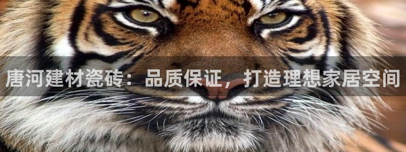 杏鑫娱乐平台测速