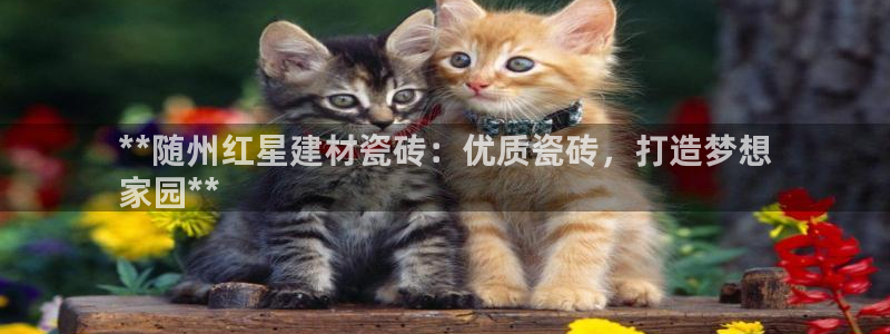 杏鑫手机客户端怎么下载