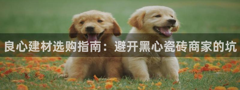杏鑫平台正规吗是真的吗