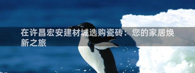 杏鑫娱乐平台登录