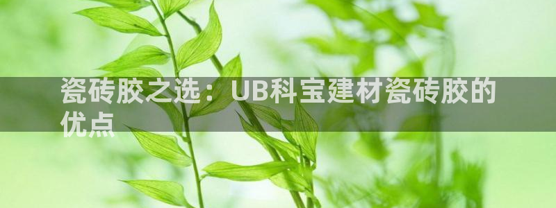杏鑫平台登陆