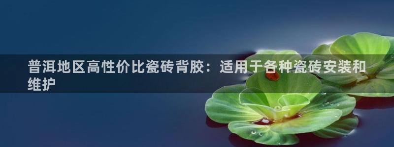 杏鑫主管