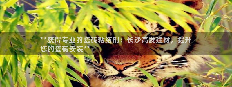 杏鑫平台怎么样黑钱吗是真的吗