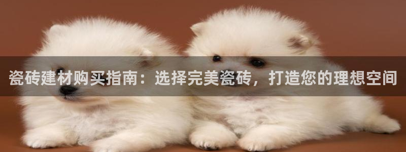 杏鑫官网注册账号是什么意思