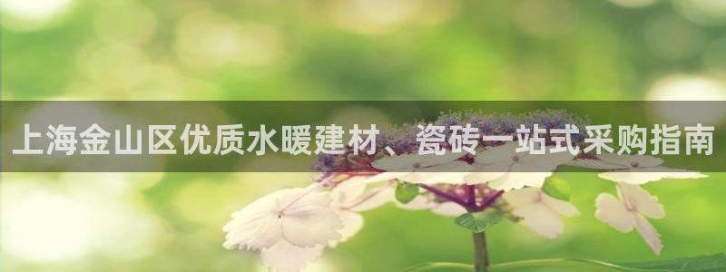 杏鑫平台直属哪个公司