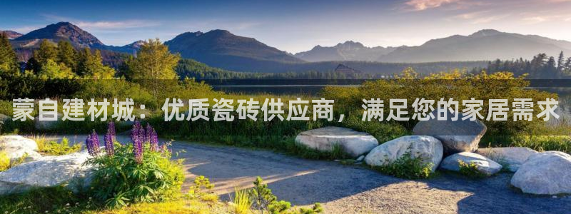 杏鑫平台直属哪个公司