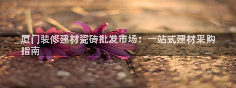 杏鑫平台代理注册流程图